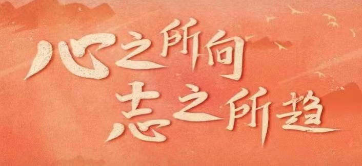 心之所向，志之所趋 | 2020阳光年度回顾......