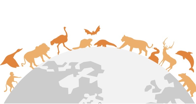 倡议书 | 保护野生动物，就是保护我们自己