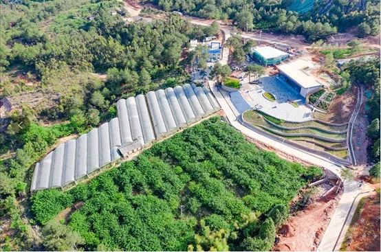 1602742603317827.png d.png