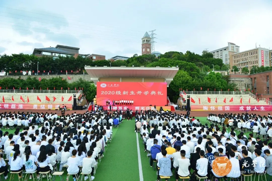 1603274992903394.png d.png